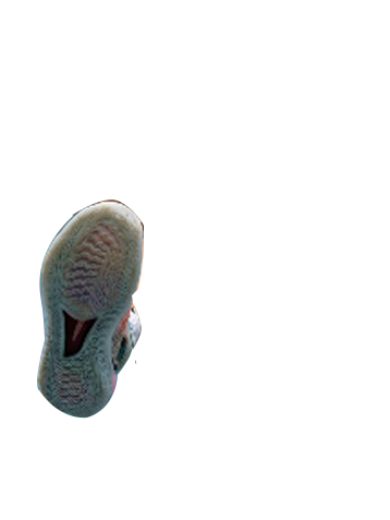 banner image